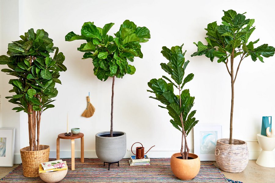 10 Reasons to Buy Artificial Plants